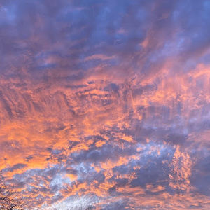 Meet your Posher, Elisa